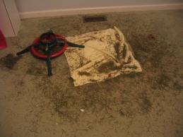 Carpet Cleaning Service Westchester NY